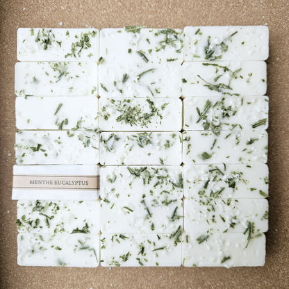 Menthe Eucalyptus